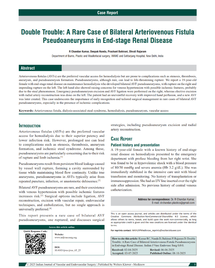 Publication Document 4
